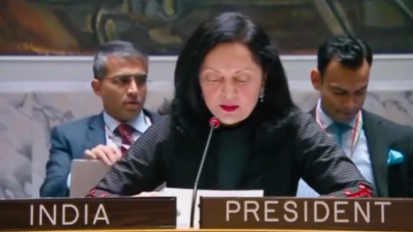Ruchira Kamboj, UN - Sputnik India