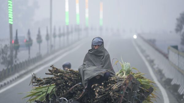 A man covers himself with a blanket and rides on a horse cart on a cold and foggy morning in Jammu, India, Monday, Jan. 9, 2023. - Sputnik India