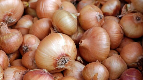 Onion - Sputnik India
