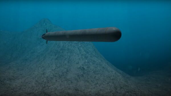 Oceanic multipurpose system equipped with unmanned underwater vehicles - Sputnik India