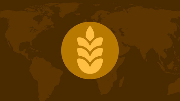 Russian grain increased export infographic cover - Sputnik India