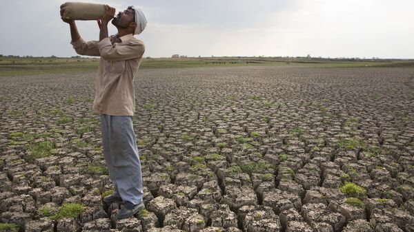 In this May 10, 2016, file photo, a Shepard drinks water on the dry bed of Manjara Dam, which supplies water to Latur and nearby villages in Marathwada region, in the Indian state of Maharashtra - Sputnik India