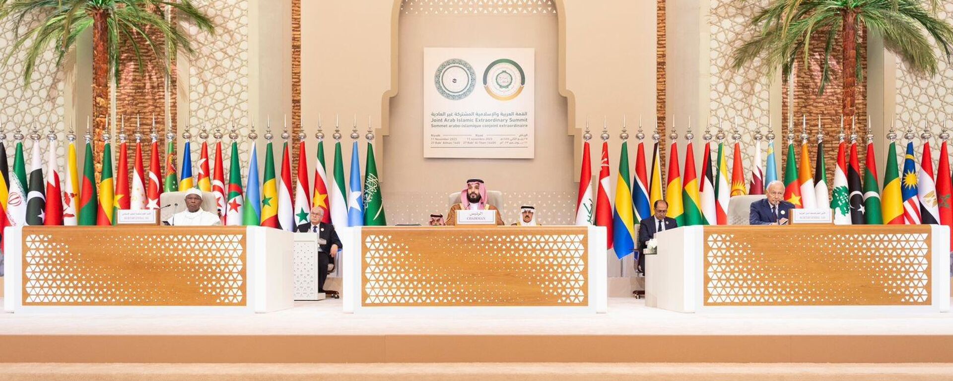 Joint Arab Islamic Extraordinary Summit - Sputnik India, 1920, 12.11.2023