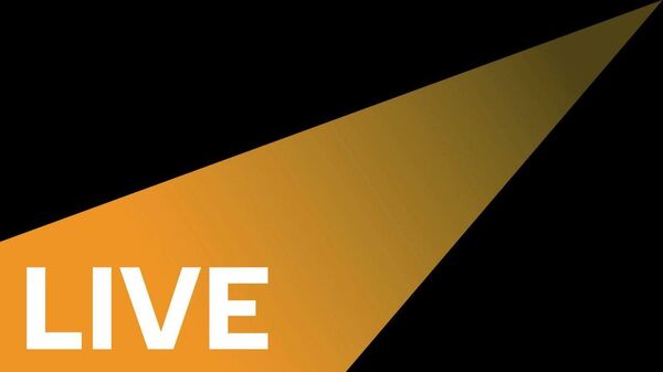 Live broadcast - BRICS - Sputnik India