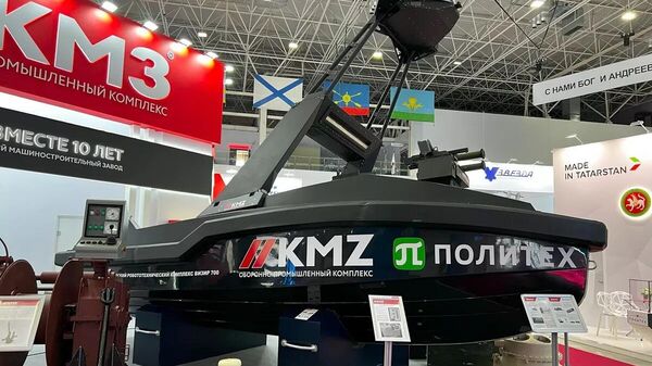 Naval drone on the Vizir type platform - Sputnik India
